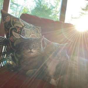 Meet your Posher, Brett